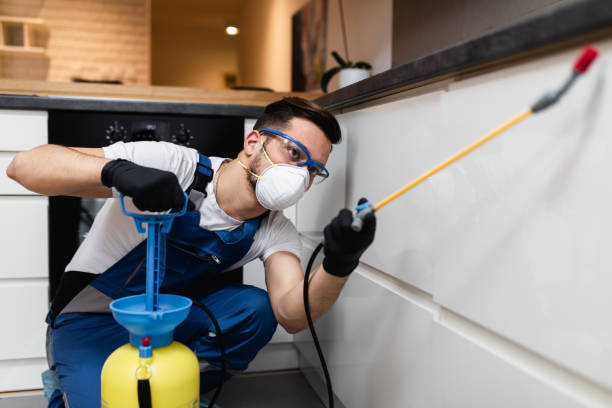 Best Local Pest Control Services  in Byron, MN