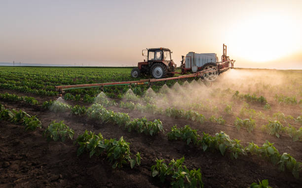 Best Pest Control Cost  in Byron, MN