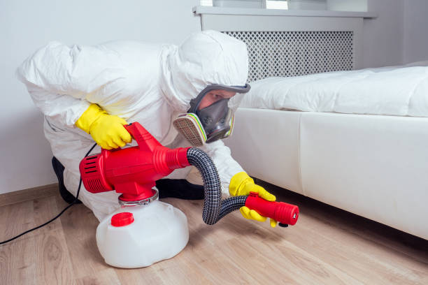 Professional Pest Control in Byron, MN
