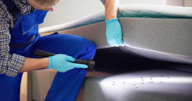 Best Pest Control Near Me in Byron, MN