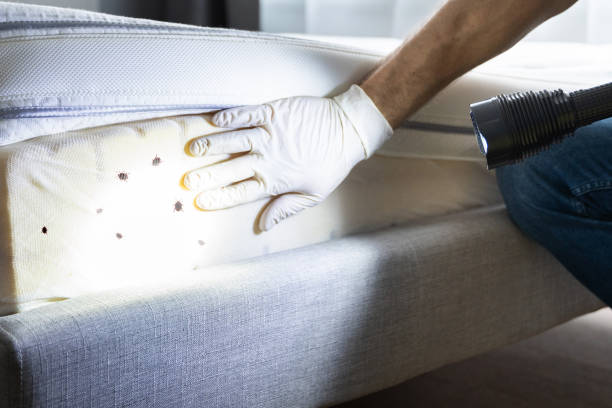 Best Exterminator Services  in Byron, MN
